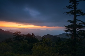你的身影