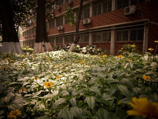 医学院对开