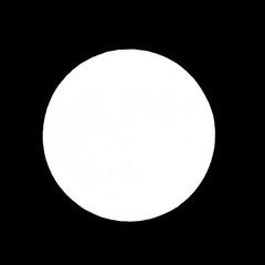 190561