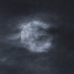 161676
