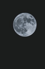 190559