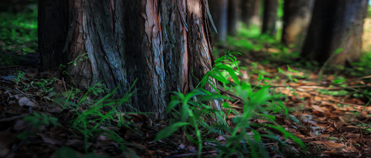 意外之旅 - 适马睛典, 色彩, 上海, 风光, 自然 - 奋
