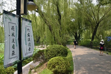 笑脸