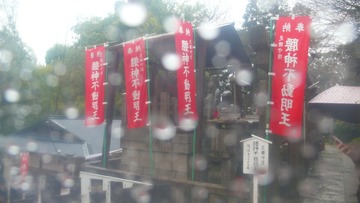 P1070960