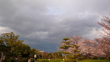 P1080404