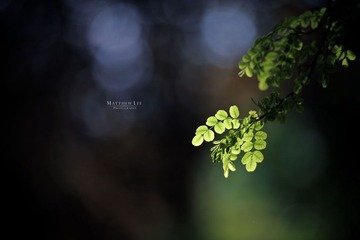 MAT_6840