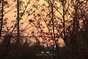 夕阳