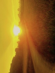 2010694
