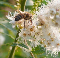 P1070029