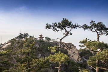 _MG_0032_1