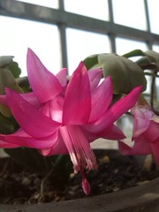 IMG_20140325_093932