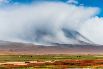“_DSC1184”为智能对象-1