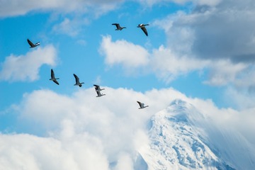“_DSC1922”为智能对象-1