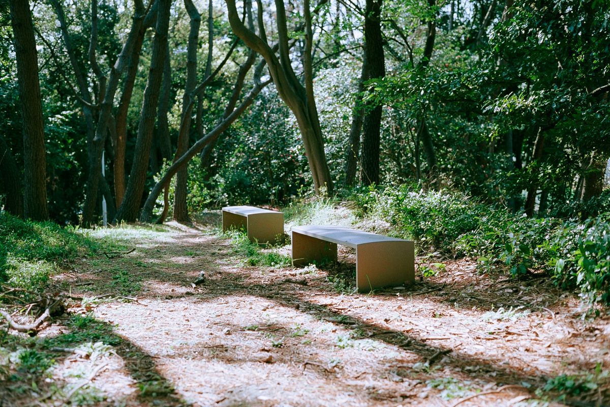 夏日梦之岛公园东京梦之岛康泰时g1