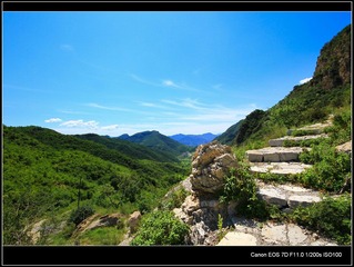 柏峪的山路