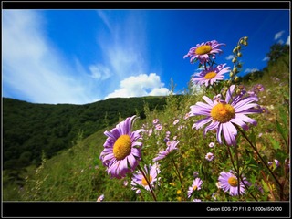 IMG_9488.jpg