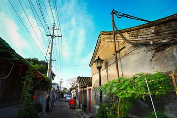 胡同清晨.jpg