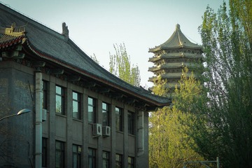 IMG_5549.jpg