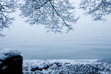 Snowing Silence