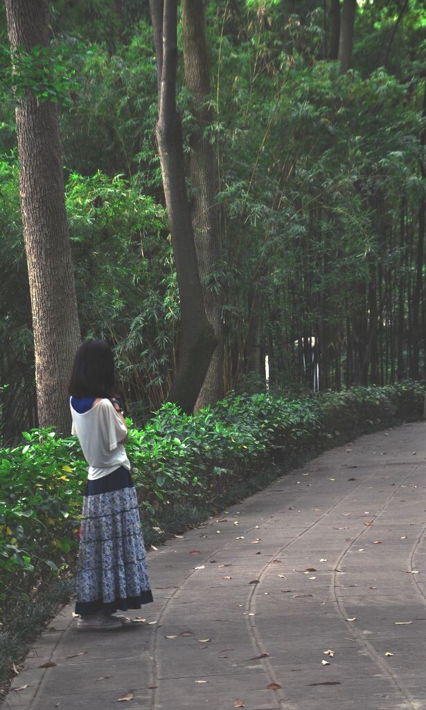你在桥上看风景，看风景的人在楼上看你