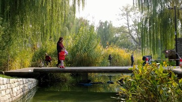 生如夏花