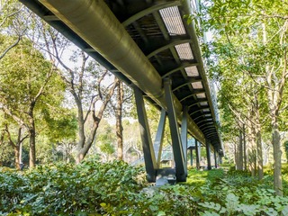 P1020900_1