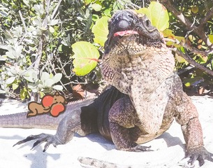 130655