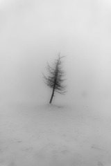 _MG_5736-6