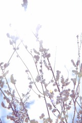 798-5