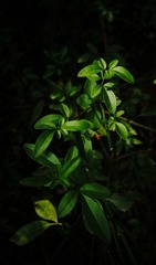 R4227460.jpg