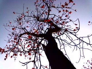 201303092347