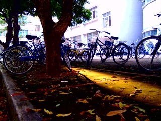 20120809275