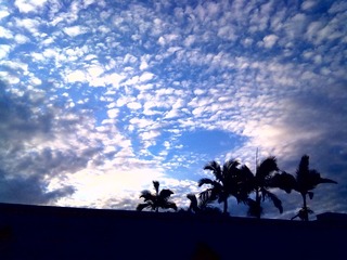 20120811328