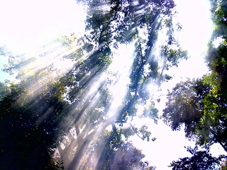 20120815487