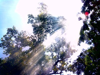 20120815488