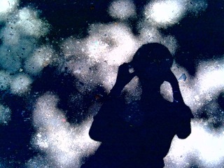 20120908828
