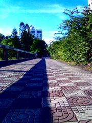070720121474