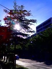 070720121495