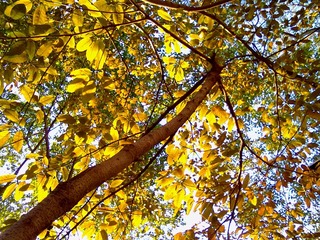 201302132096