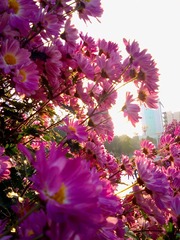 201302132107