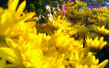 201302132108