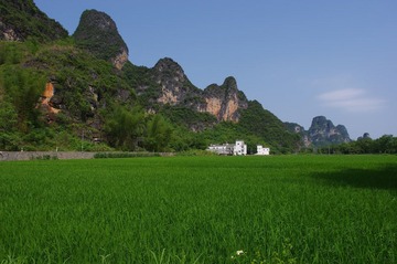 RICH0756.JPG