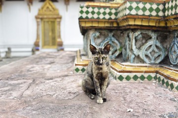 DSC_2435.jpg