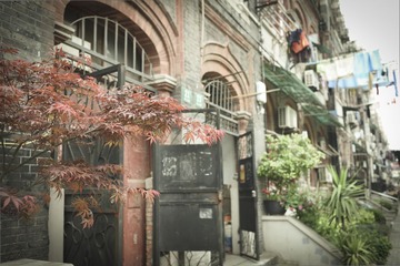 DSC_3177.jpg