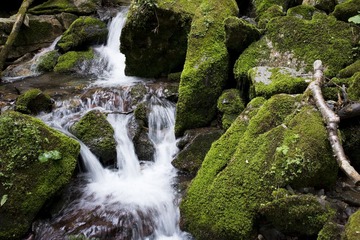 DSC_41321.jpg