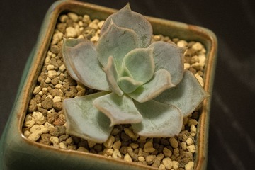 DSC_5266.jpg