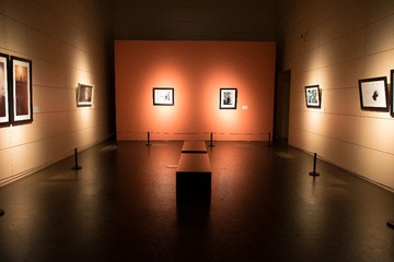 DSC_5311.jpg