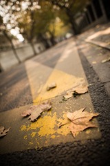 _DSC9056