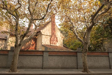 _DSC90161
