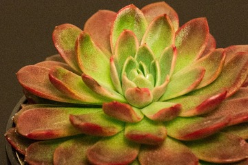 _DSC9647